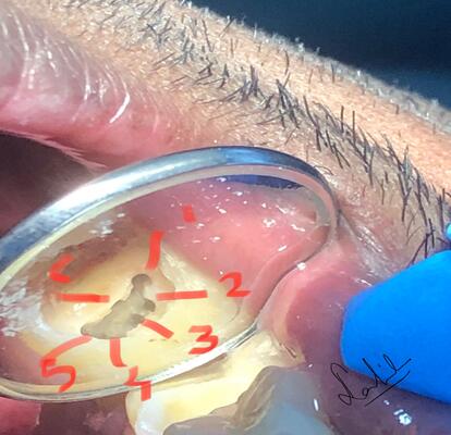 indian dentist in mussafah abu dhabi